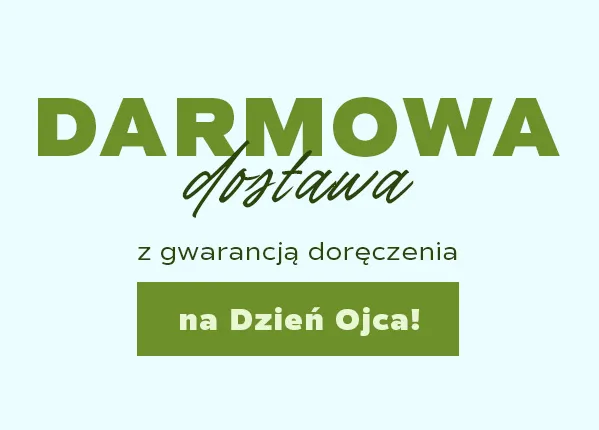 hero naglowek